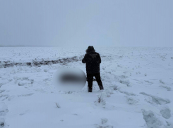 Тело подростка в 200 км от дома нашли у границы Волгоградской области