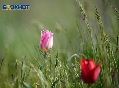 В Волгограде будет пасмурно