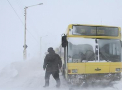 МЧС: на трассе под Волгоградом пассажирам сломавшегося автобуса оказана необходимая помощь