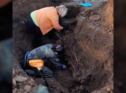 Как работают поисковики в Волгоградской области: видео с места раскопок