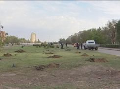 На юге Волгограда заложили новый парк имени 70-летия Победы