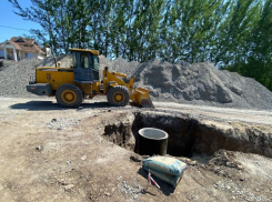 Жители улицы Родниковой в Волгограде пожаловались на варварскую вырубку деревьев в 30-градусную жару