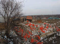 В Волгограде оштрафовали 17 мусоровозов