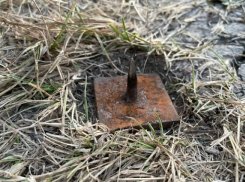 На знаменитом волгоградском озере лотосов устроили диверсию против туристов