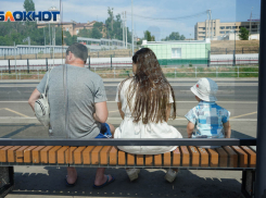 Волгоград раскалится до 36 градусов на новой неделе 