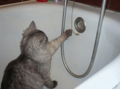 Волгоградцы жалуются на отключение воды не по графику