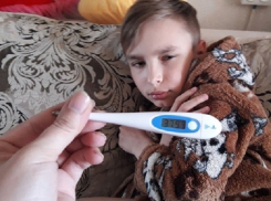 Как с приходом первого снега укрепить иммунитет волгоградцам? Заходи в справочник