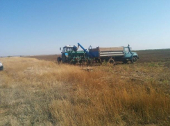 Под Волгоградом начали засеивать поле  для Путина