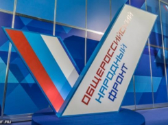 Татьяна Гензе и Юрий Староватых не хотят оставлять своих постов в волгоградском ОНФ