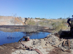 Опасной химией отравили любимое место семейного отдыха волгоградцев