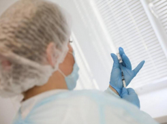 Привитый от COVID-19 волгоградец добился QR-кода на Госуслугах после публикации «Блокнот Волгоград»