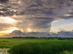 Грядет «апокалипсис»: неблагоприятные погодные условия ждут волгоградцев