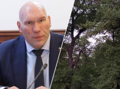 Николай Валуев выступил против вырубки 15 000 дубов ради трассы под Волгоградом