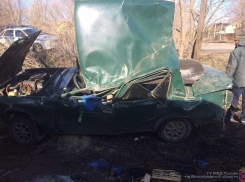 На юге Волгограда 19-летний водитель ВАЗ-2107 чудом выжил, врезавшись в дерево
