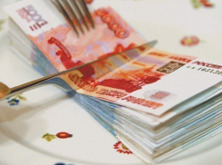 Под Волгоградом директор стройфирмы «заработал» шесть миллионов на новорожденных