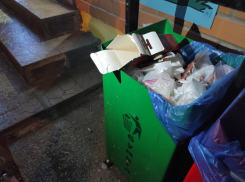 Мусорная реформа по-волгоградски: город под атакой поджигателя контейнеров