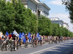 Первые велодорожки в Волгограде откроют только к зиме