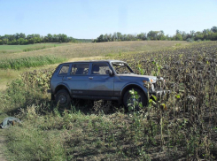 Под Волгоградом перевернулась Нива: погиб пенсионер