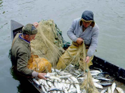 Под Волгоградом на месте преступления задержали троих браконьеров