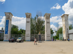 «Торговый комплекс на месте футбольного поля»: волгоградский общественник Валерий Котельников против застройки стадиона «Трактор»
