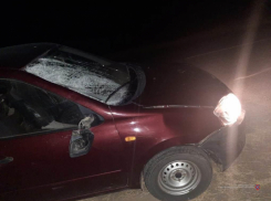 Двое мужчин-пешеходов умерли на месте после ДТП в Волгоградской области