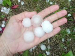 Убойный град в Камышине попал на видео
