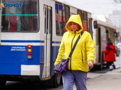 Сильный ветер и осадки: погода в Волгоградской области на 1 декабря
