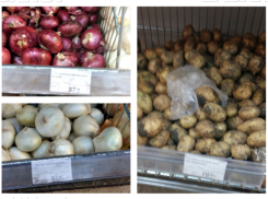 “Единая Россия” заметила в Волгограде снижение цен на овощи и фрукты