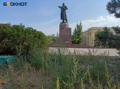 Ленин среди сорняков: центр Волгограда превратили в заросшее гетто