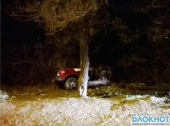 В Волгограде подросток на «шестерке» въехал в дерево