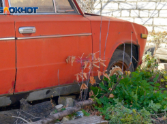 Волгоградцы теряют миллионы в попытках купить машину