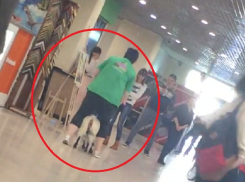 Скачущая по торговому центру козочка Маня попала на видео в Волгограде