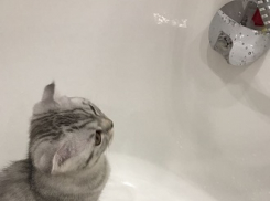 Жителям Краснооктябрьского района Волгограда сегодня отключат горячую воду