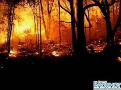 В Волгоградской области объявлена чрезвычайная пожароопасность