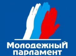 В Волгограде предложили разогнать Молодежный парламент