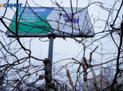 Сбербанк снял с себя ответственность за вырубку деревьев в Волгограде