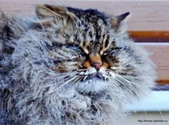 Первые заморозки ударят в Волгоградской области на новой неделе