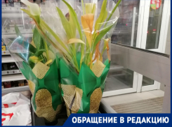 Волгоградка назвала «Магнит» убийцами растений