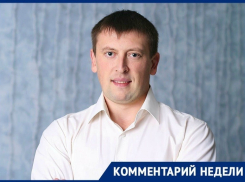 Аэропортам необходимо усилить оборону от пернатых «вредителей», - волгоградский общественник о ЧП с Airbus A321