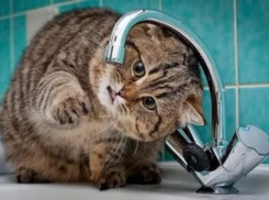 На два дня останутся без воды жители севера Волгограда