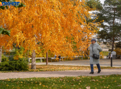 Дождь и порывистый ветер обещают в Волгограде синоптики в последний день октября 