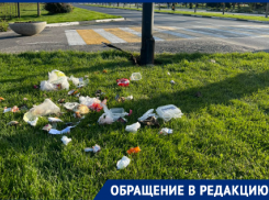 Туристов в волгоградском аэропорту встретила внушительная куча мусора