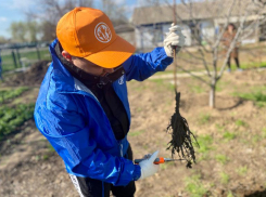 Волонтеры «ЕвроХим-ВолгаКалия» организовали и провели ряд акций, посвященных празднованию 76-й годовщины Победы в Великой Отечественной войне