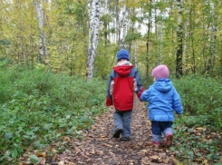 10-летняя девочка и ее 8-летний брат всю ночь искали дорогу домой под Волгоградом