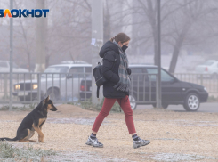 Небольшой дождь и слабый ветер: погода в Волгограде на 24 сентября