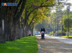 Артамон Змеевик принесет тепло и солнце в Волгоград 
