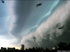 Отголоски московского урагана обрушатся на Волгоград 3 июня 