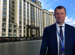 Волгоградского депутата раскритиковали за «крутые» фото из Москвы 