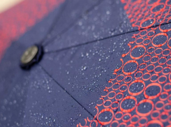 Сильный дождь пройдет в понедельник в Волгоградской области