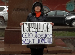 Война за кресло: жители села Лозное собирают подписи президенту Владимиру Путину